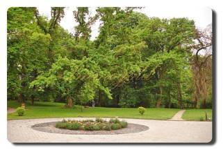 Thumbnail von Immogold, Ungarn, MWS 15-042-MWOH Schloßhotel mit Pferdestall