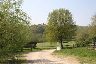 Thumbnail von Reiterhof mit vollrenoviertem Natursteinanwesen im Chianti mit 15 ha Land