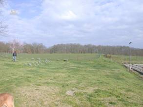 Thumbnail von Reiterhof mit vollrenoviertem Natursteinanwesen im Chianti mit 15 ha Land