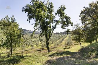 Thumbnail von wunderschöne Villa mit atemberaubenden Blick auf Siena