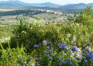 Thumbnail von Landgut in Panoramalage mit Pool nur ca. 13 km vom Meer entfernt