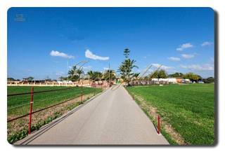 Thumbnail von Immogold Mallorca, MWS 15-064-MWOH Finca, für Pferdeliebhaber