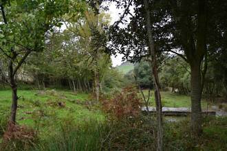 Thumbnail von ca.15 km vom Meer entferntes landwirtschaftliches Gut