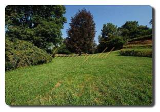 Thumbnail von Immogold IMI 1380 renovierungsbedürftige Villa mit großem Park