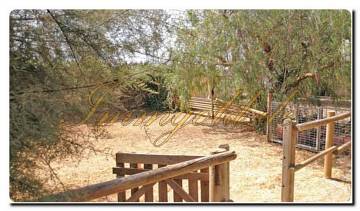 Thumbnail von Immogold Haus mit Pool und schönem Grundstück