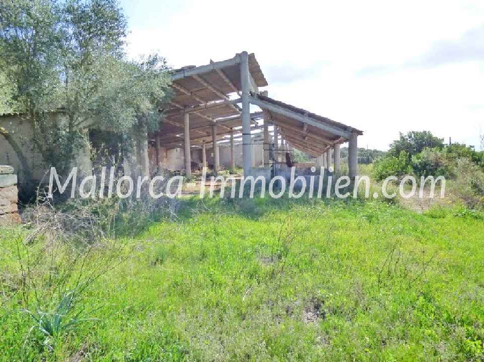  SANIERUNGSBEDÜRFTIGE FINCA MIT BLICK ÜBER WIESEN UND FELDER