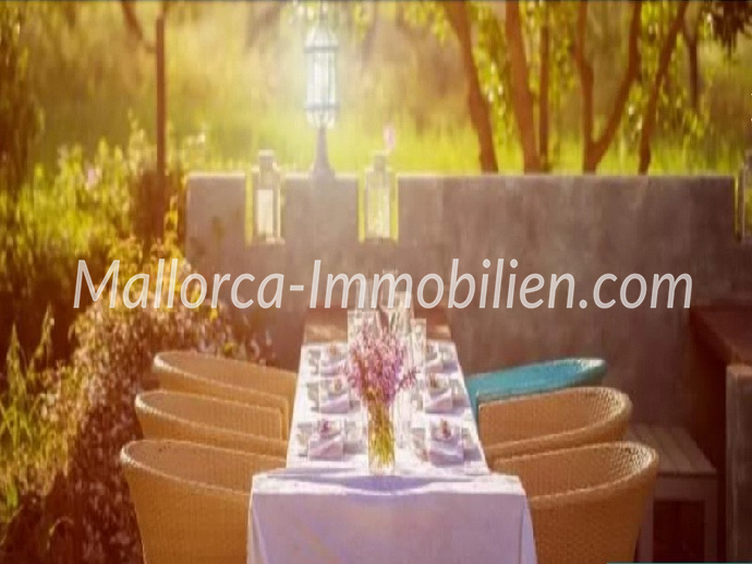 Thumbnail von FINCA MIT CHARME