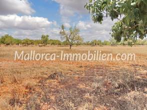 Thumbnail von ROMANTISCH GELEGENE FINCA ZUM RENOVIEREN MIT SEHR GROSSEM GRUNDSTÜCK