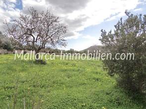 Thumbnail von ROMANTISCHES MALLORQUINISCHES FINCA-ANWESEN MIT PANORAMABLICK