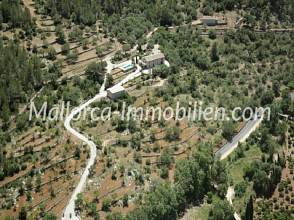 Thumbnail von EIN FINCAANWESEN, DASS AUF MALLORCA SEINES GLEICHEN SUCHT