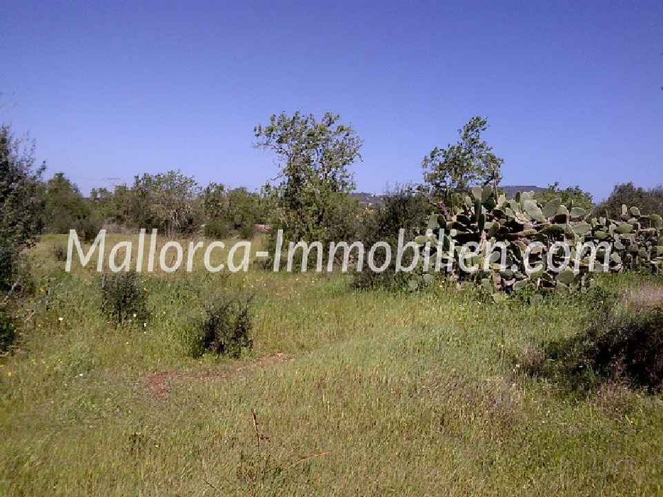 TERRENO MUY BONITO CON VISTAS PANORÁMICAS