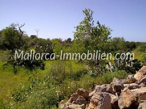 Thumbnail von BARDZO PIĘKNA DZIAŁKA Z ROZLEGŁYM WIDOKIEM