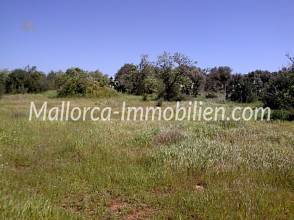 Thumbnail von BARDZO PIĘKNA DZIAŁKA Z ROZLEGŁYM WIDOKIEM