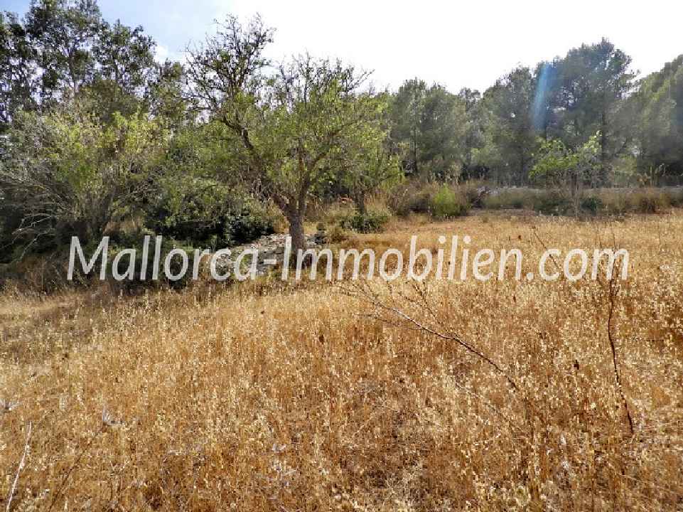 TERRENO EN UBICACIÓN PENDIENTE CON VISTA AL MAR