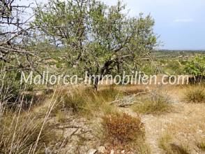 Thumbnail von 海の景色が見える丘陵地の土地