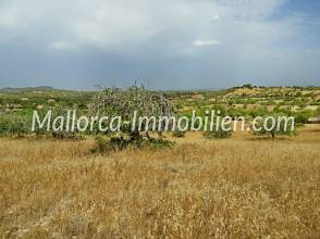 Thumbnail von 海の景色が見える丘陵地の土地