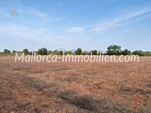 Thumbnail von GRUNDSTÜCK MIT WUNDERSCHÖNEM WEITBLICK