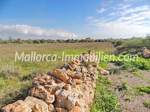 Thumbnail von BAUGRUNDSTÜCK NAHE DEN STRÄNDEN CALA LLOMBARDS UND CALA SALMONIA