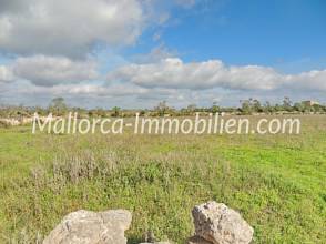 Thumbnail von BAUGRUNDSTÜCK NAHE DEN STRÄNDEN CALA LLOMBARDS UND CALA SALMONIA
