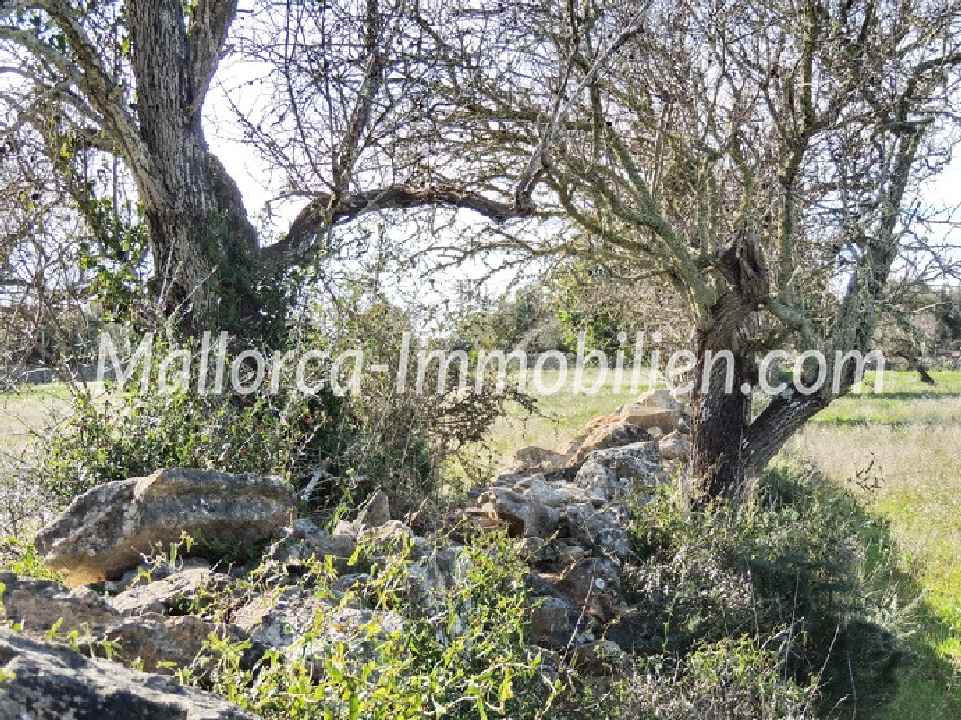 GRUNDSTÜCK MIT EINMALIGEM BLICK