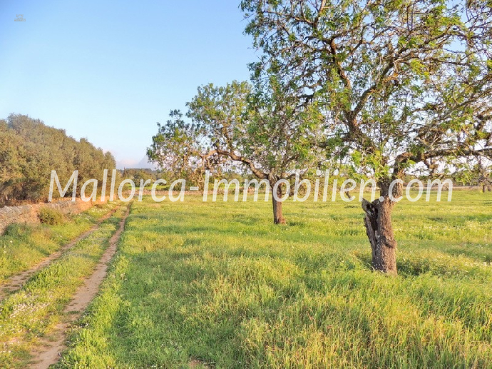 GRUNDSTÜCK MIT EINEM HERRLICHEN PANORAMABLICK