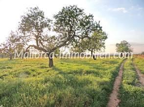 Thumbnail von GRUNDSTÜCK MIT EINEM HERRLICHEN PANORAMABLICK
