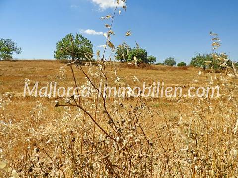 GRUNDSTÜCK IN HÜGELLAGE MIT PANORAMABLICK