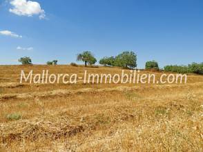 Thumbnail von GRUNDSTÜCK IN HÜGELLAGE MIT PANORAMABLICK