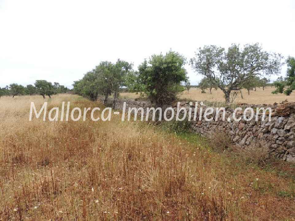 WUNDERSCHÖNES GRUNDSTÜCK MIT EINEM TOLLEN BLICK ÜBER WIESEN UND FELDER