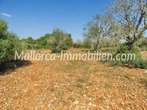 Thumbnail von GRUNDSTÜCK ZUM BAU NAHE SES SALINES