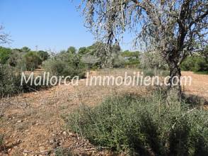 Thumbnail von GRUNDSTÜCK ZUM BAU NAHE SES SALINES