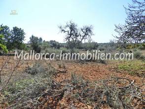 Thumbnail von GRUNDSTÜCK ZUM BAU NAHE SES SALINES