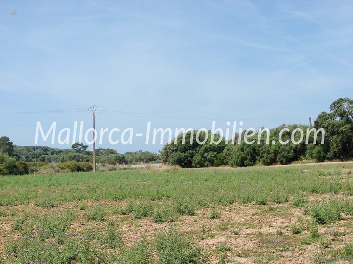 FLACHES GRUNDSTÜCK MIT PANORAMABLICK