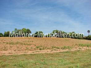 Thumbnail von FLACHES GRUNDSTÜCK MIT PANORAMABLICK