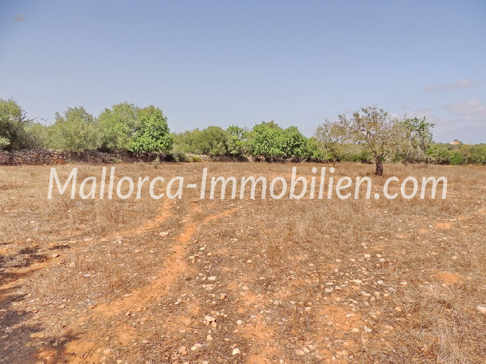 Thumbnail von BAUGRUNDSTÜCK MIT PANORAMABLICK