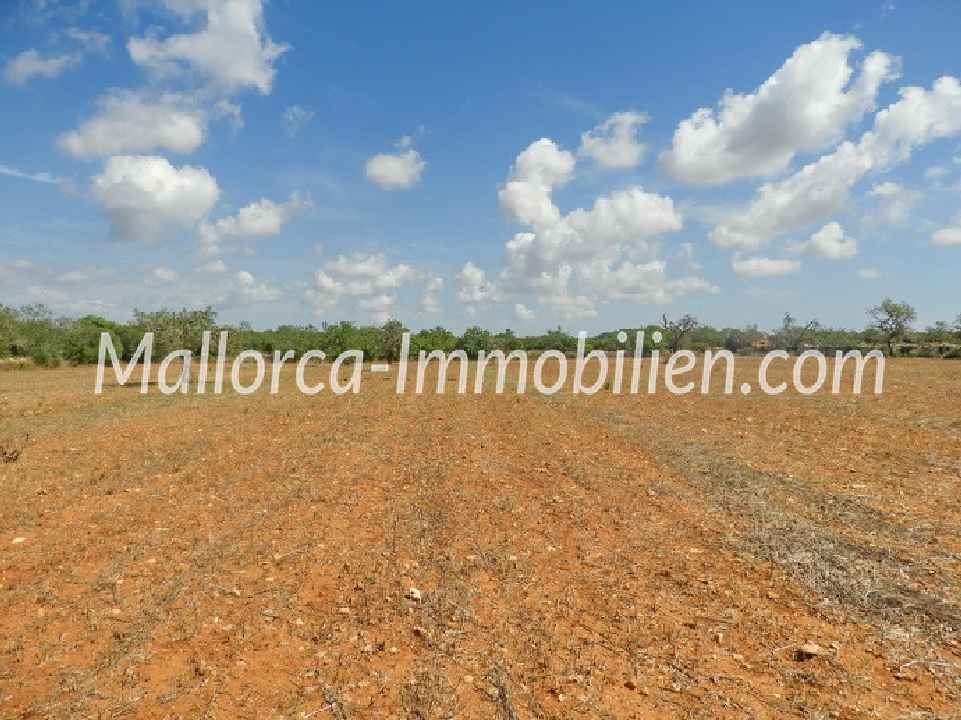 GRUNDSTÜCK MIT PANORAMABLICK