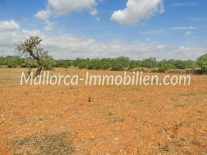 Thumbnail von GRUNDSTÜCK MIT PANORAMABLICK