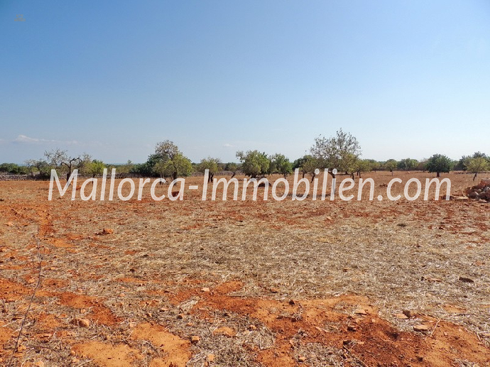 Thumbnail von GRUNDSTÜCK MIT MEERBLICK