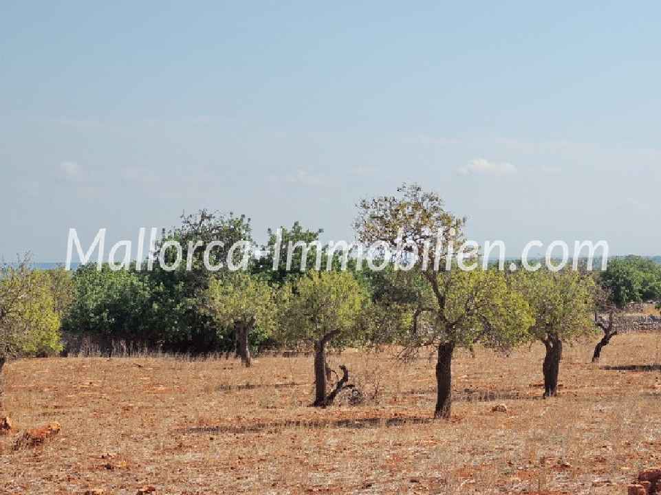 GRUNDSTÜCK MIT MEERBLICK