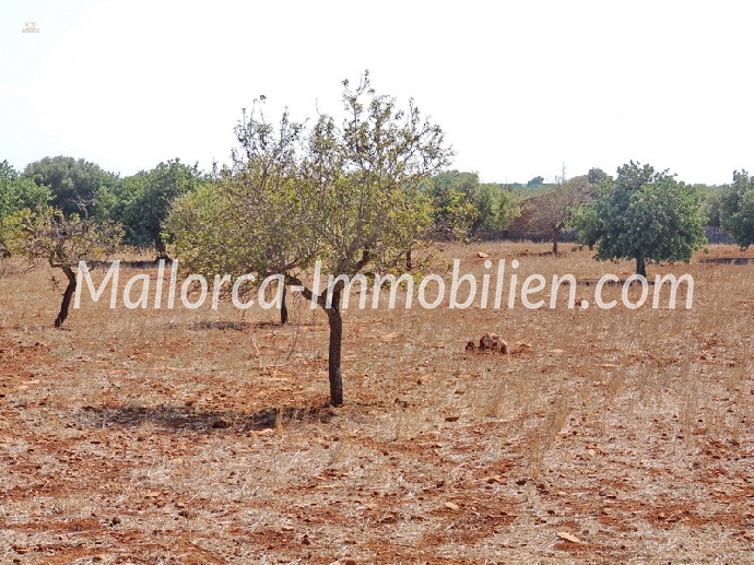 Thumbnail von GRUNDSTÜCK MIT MEERBLICK