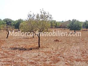 Thumbnail von GRUNDSTÜCK MIT MEERBLICK