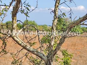 Thumbnail von GRUNDSTÜCK MIT MEERBLICK