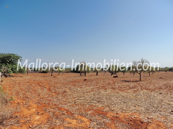 Thumbnail von GRUNDSTÜCK MIT MEERBLICK