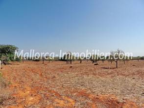 Thumbnail von GRUNDSTÜCK MIT MEERBLICK