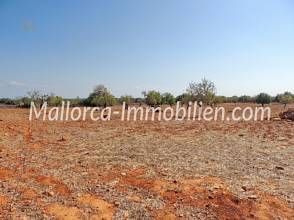 Thumbnail von GRUNDSTÜCK MIT MEERBLICK