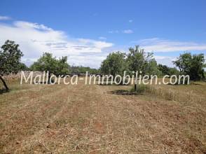 Thumbnail von 1 - 2 oder 3 GRUNDSTÜCKE ZUM BAUEN MIT BLICK ZUM MEER