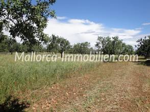 Thumbnail von 1 - 2 oder 3 GRUNDSTÜCKE ZUM BAUEN MIT BLICK ZUM MEER