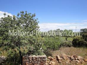 Thumbnail von 1 - 2 oder 3 GRUNDSTÜCKE ZUM BAUEN MIT BLICK ZUM MEER