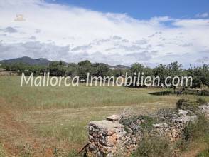 Thumbnail von 1 - 2 oder 3 GRUNDSTÜCKE ZUM BAUEN MIT BLICK ZUM MEER