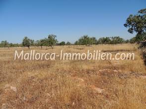 Thumbnail von BAUGRUNDSTÜCK MIT PANORAMABLICK UND NAHE ZUM MEER